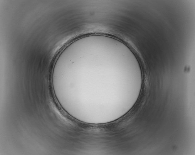 X0000111000629200906191144