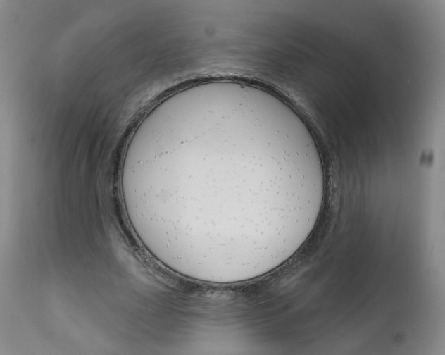 X0000111000631200906191144
