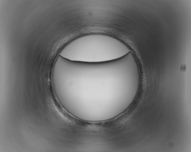 X0000111000633200906191144