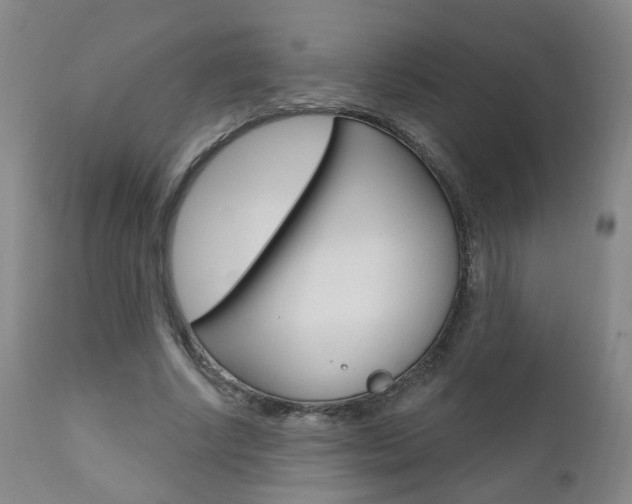 X0000111000634200906191144