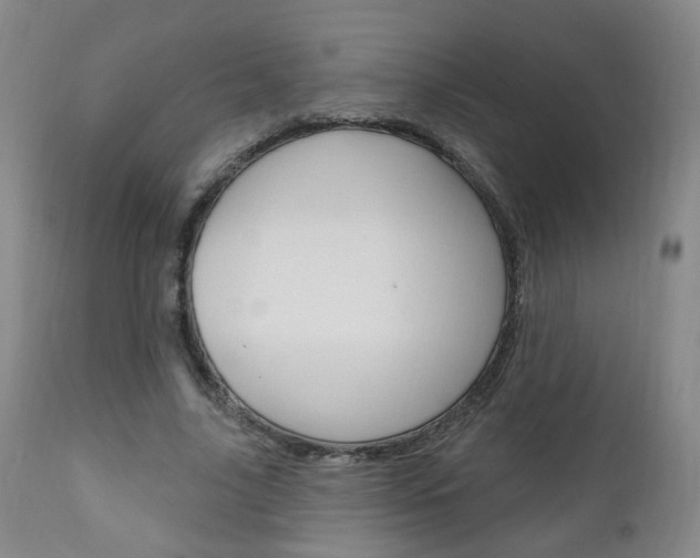 X0000111000635200906191144