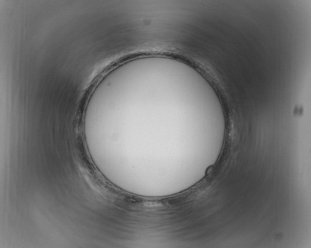 X0000111000636200906191144