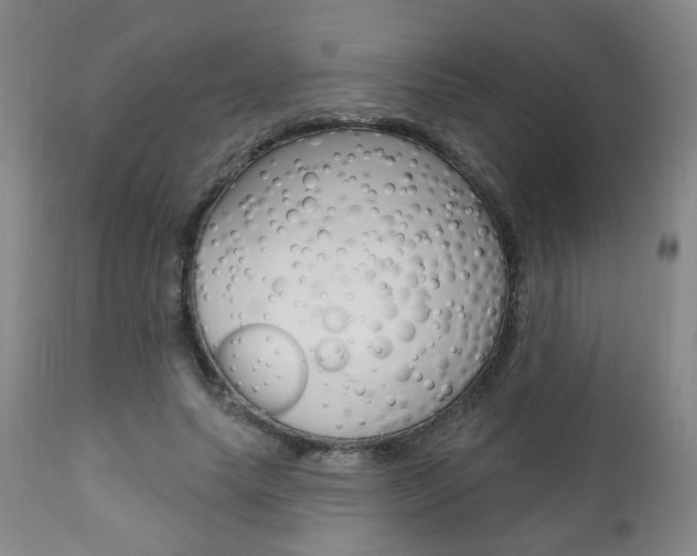 X0000111000639200906191144
