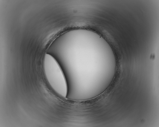 X0000111000640200906191144