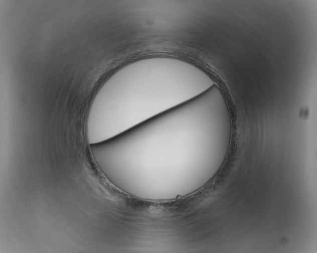 X0000111000641200906191144
