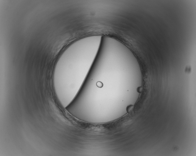 X0000111000642200906191144