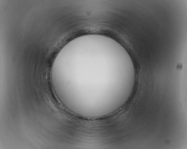 X0000111000645200906191145