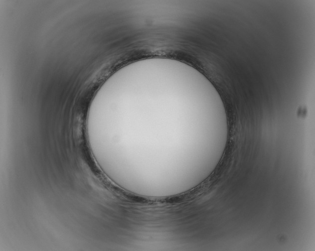 X0000111000646200906191145