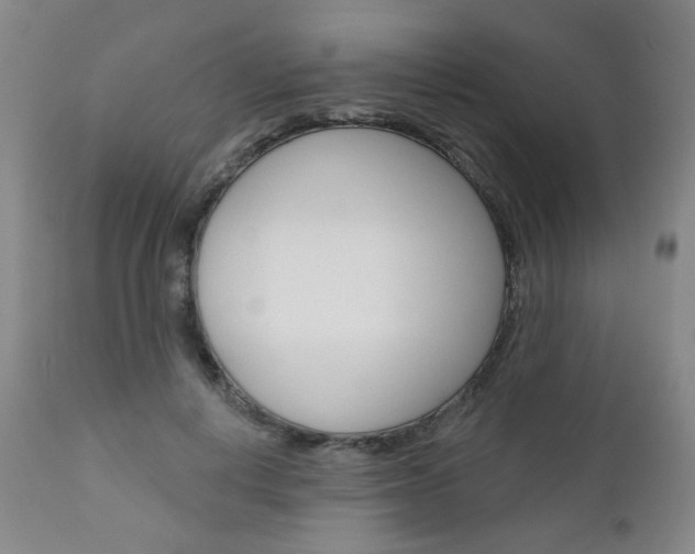 X0000111000648200906191145