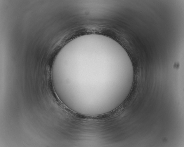 X0000111000649200906191145