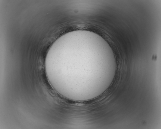 X0000111000651200906191145