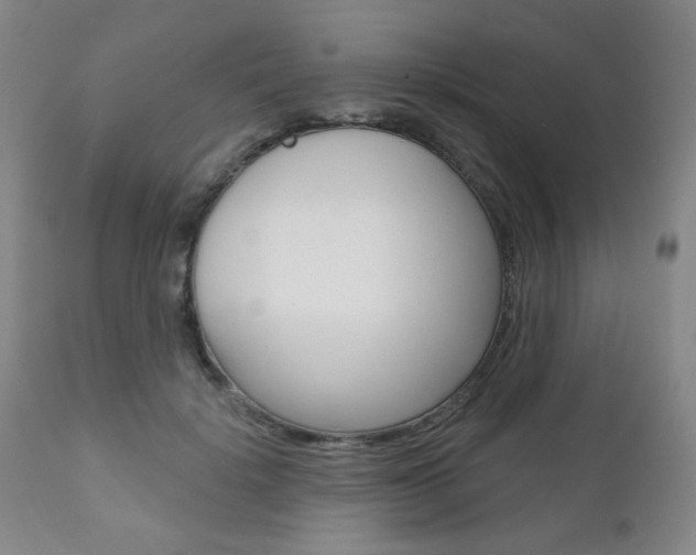 X0000111000652200906191145