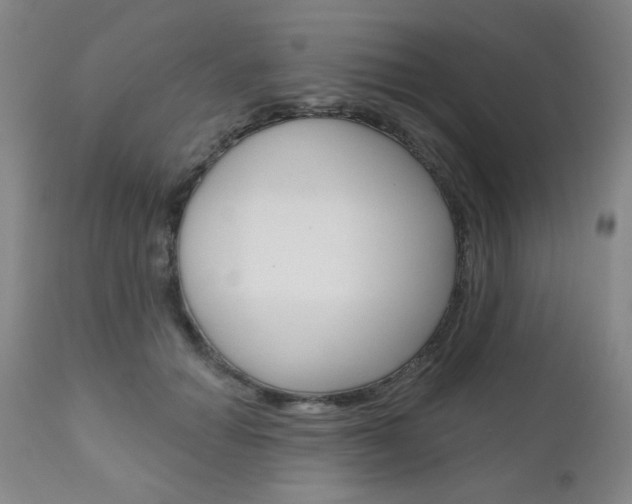 X0000111000654200906191145