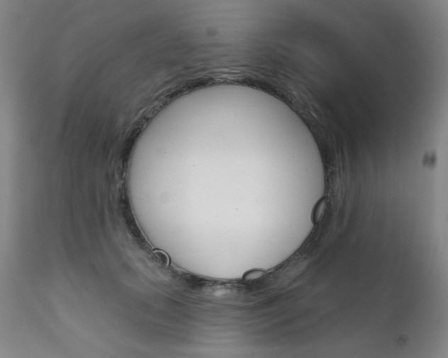 X0000111000655200906191145