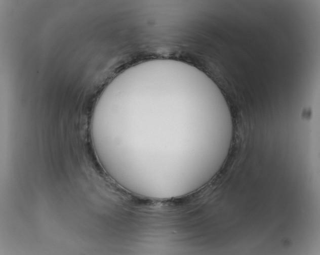 X0000111000656200906191145
