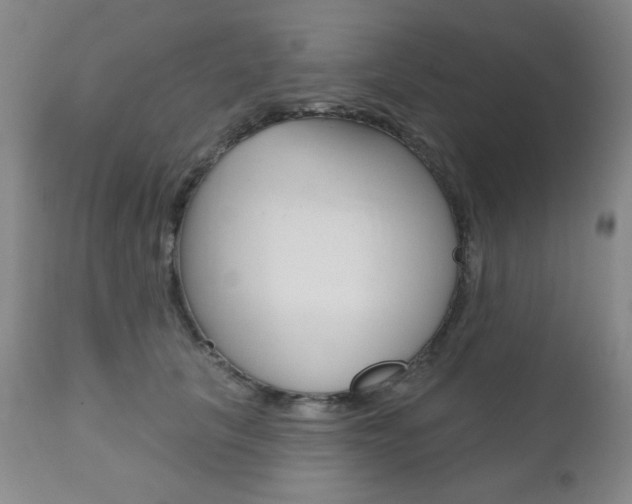 X0000111000657200906191145