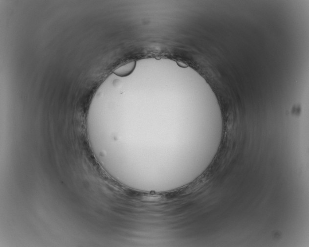 X0000111000659200906191145