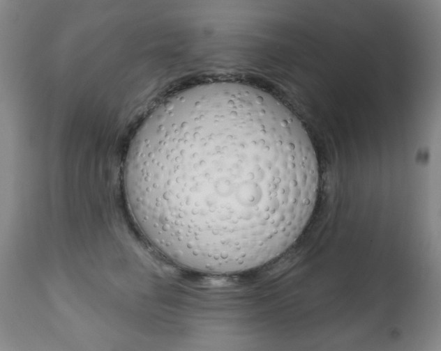 X0000111000662200906191145