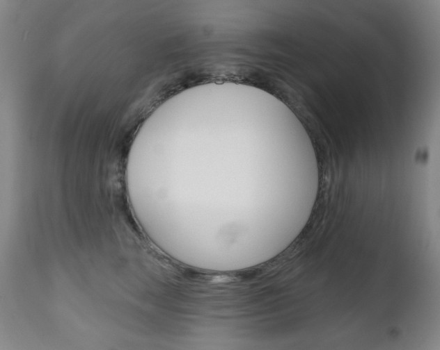 X0000111000663200906191145