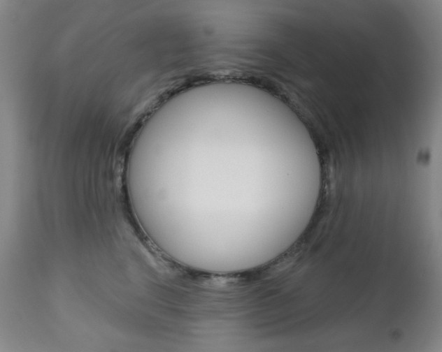 X0000111000664200906191145