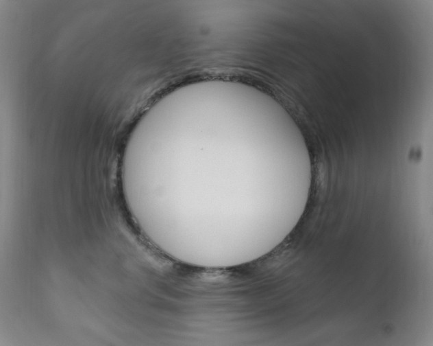 X0000111000668200906191145