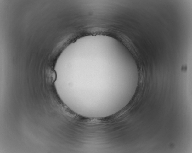 X0000111000669200906191145