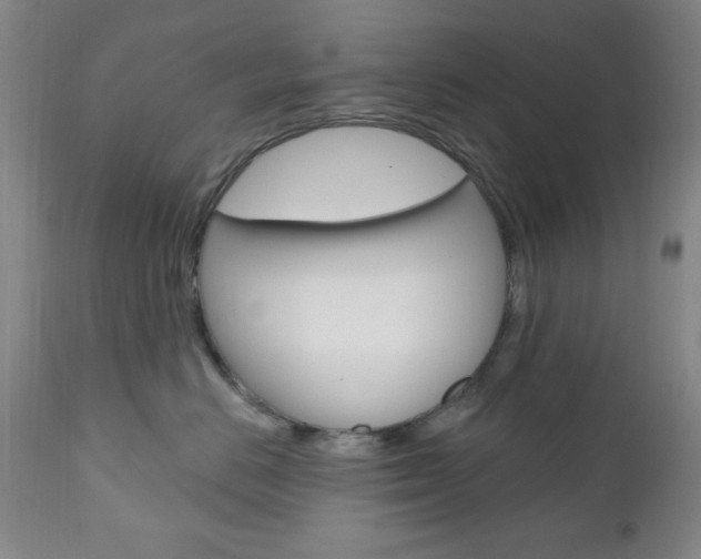 X0000111000670200906191145