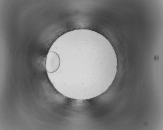 X0000111000672200906191145