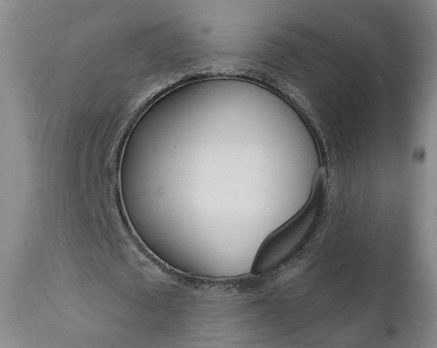 X0000111000673200906191144
