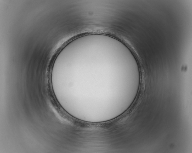 X0000111000674200906191144