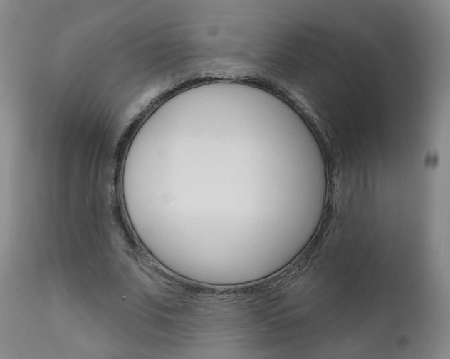 X0000111000679200906191144