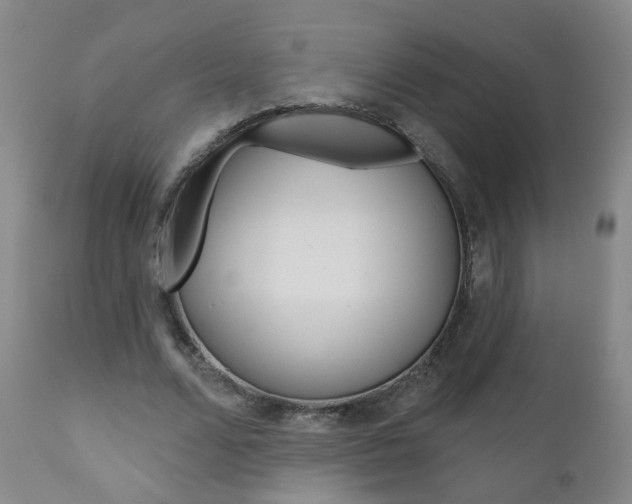 X0000111000680200906191144
