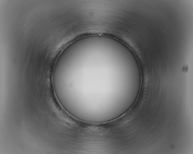 X0000111000681200906191144