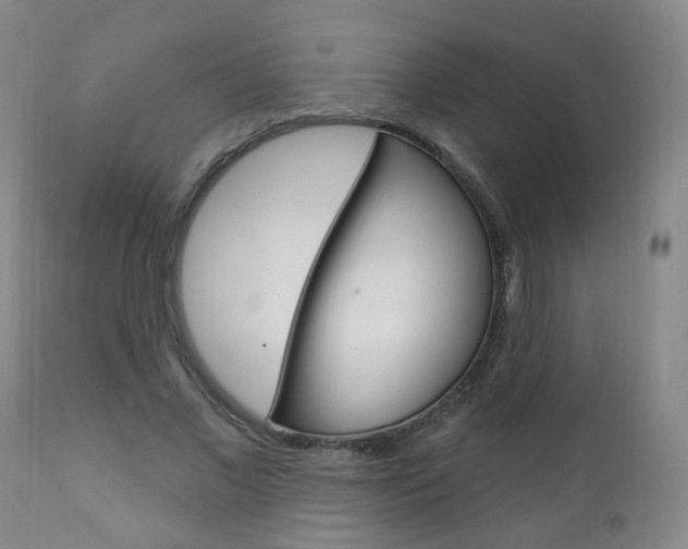 X0000111000685200906191144