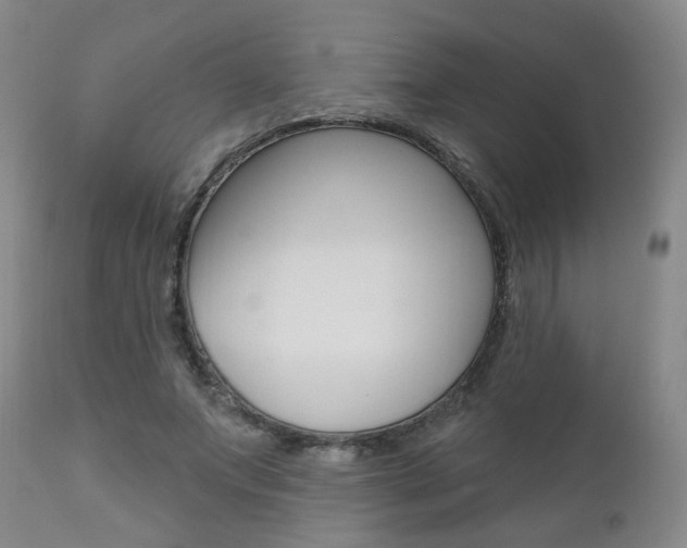 X0000111000687200906191144