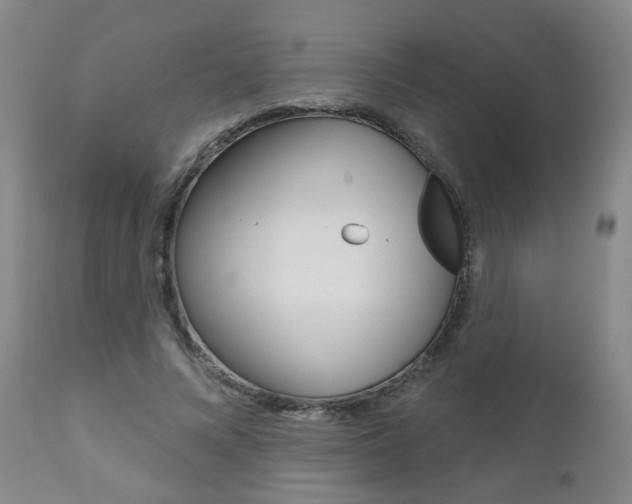 X0000111000688200906191144