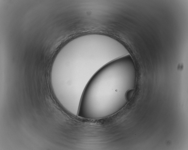 X0000111000689200906191144
