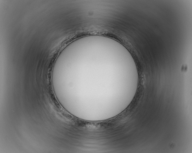 X0000111000690200906191144