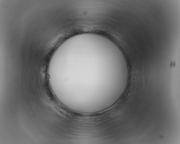 X0000111000691200906191144