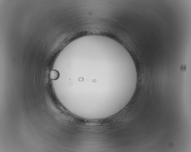 X0000111000694200906191144