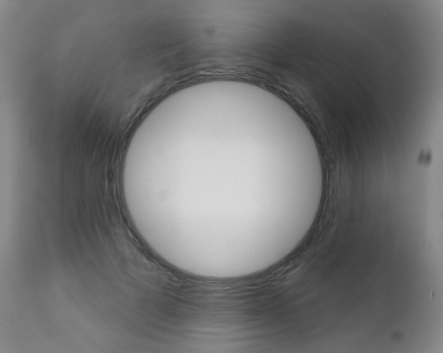 X0000111000697200906191144