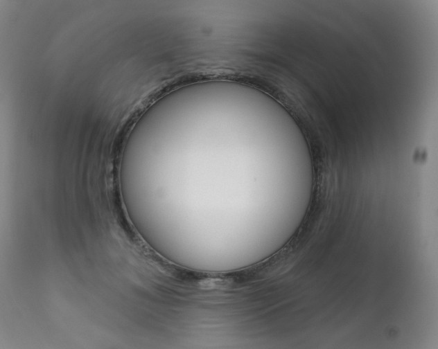 X0000111000700200906191144