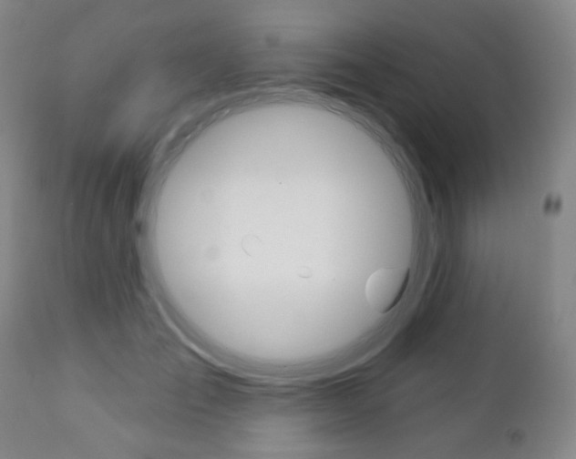 X0000111000701200906191144