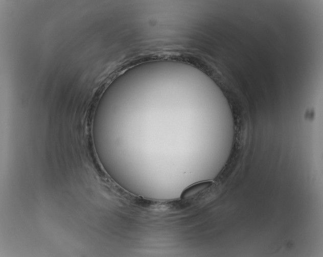 X0000111000704200906191144