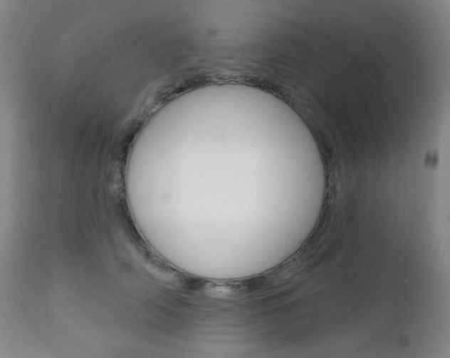 X0000111000706200906191144