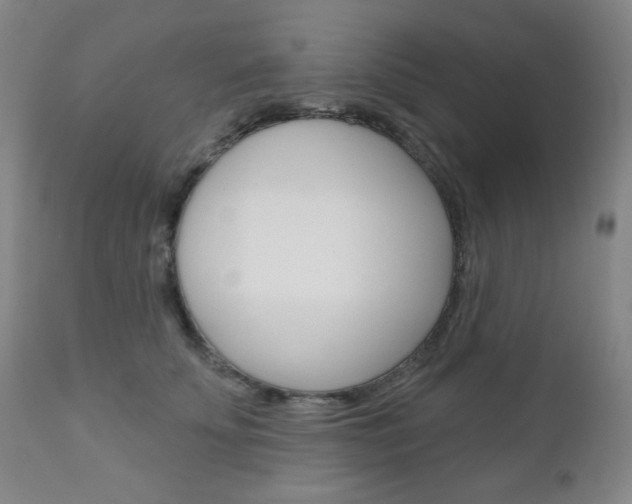 X0000111000707200906191144