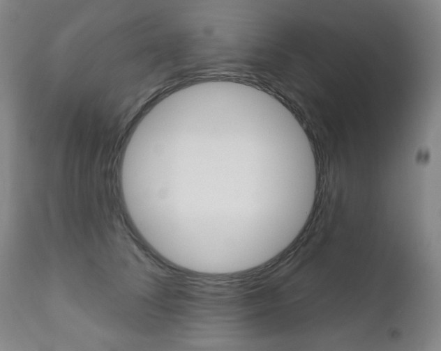 X0000111000708200906191144