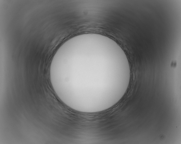 X0000111000709200906191144