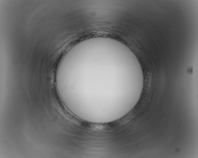 X0000111000710200906191144