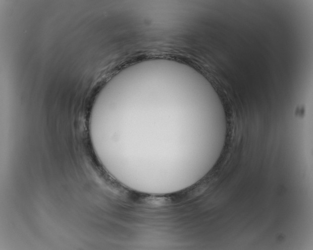 X0000111000711200906191144